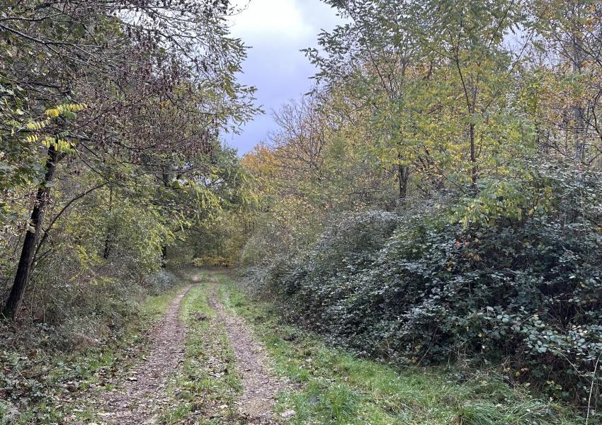 Domaine de chasse dans le Loiret