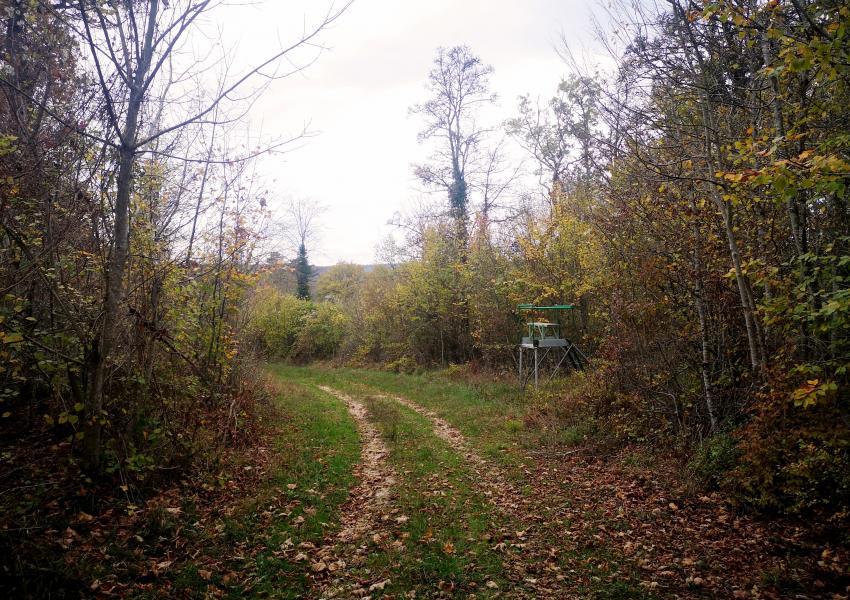 Terrain de Chasse dans le Grand Est