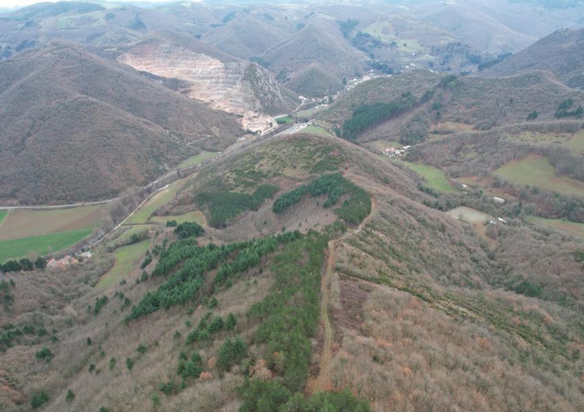 Domaine forestier en Aveyron