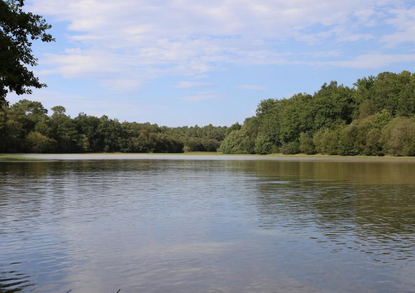Grand étang et sa cabane d'agrément en Dordogne