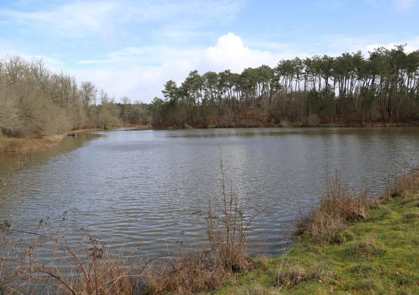 Domaine forestier avec bâtis en Dordogne