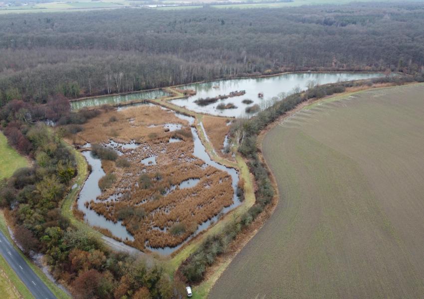 Étang avec hutte de chasse dans La Marne