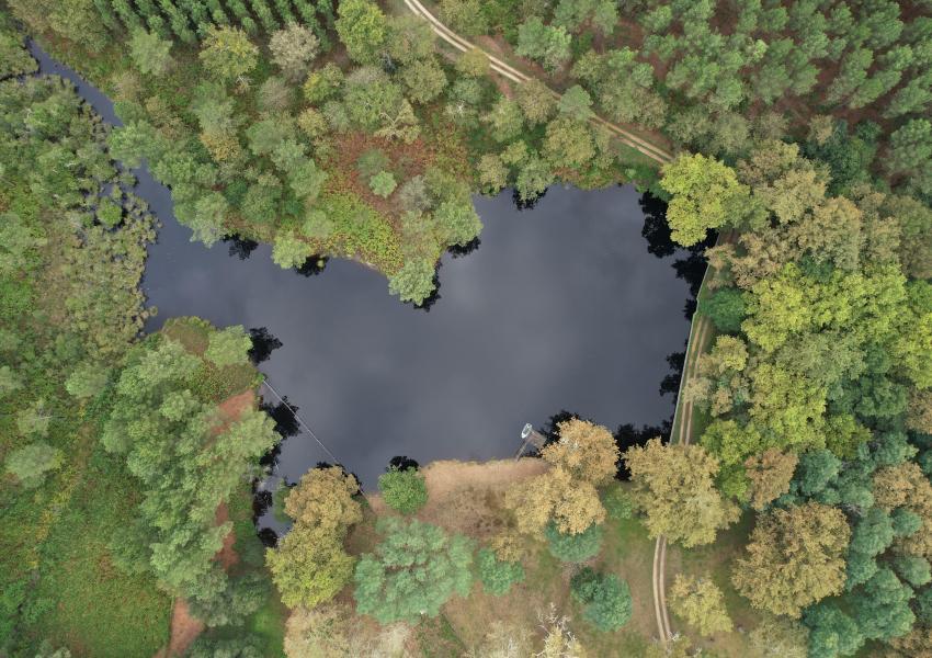 Maison d'habitation et son airial au cœur des Landes