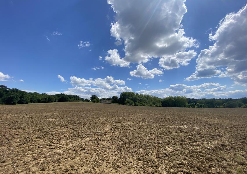 Propriété forestière dans le Lot-et-Garonne