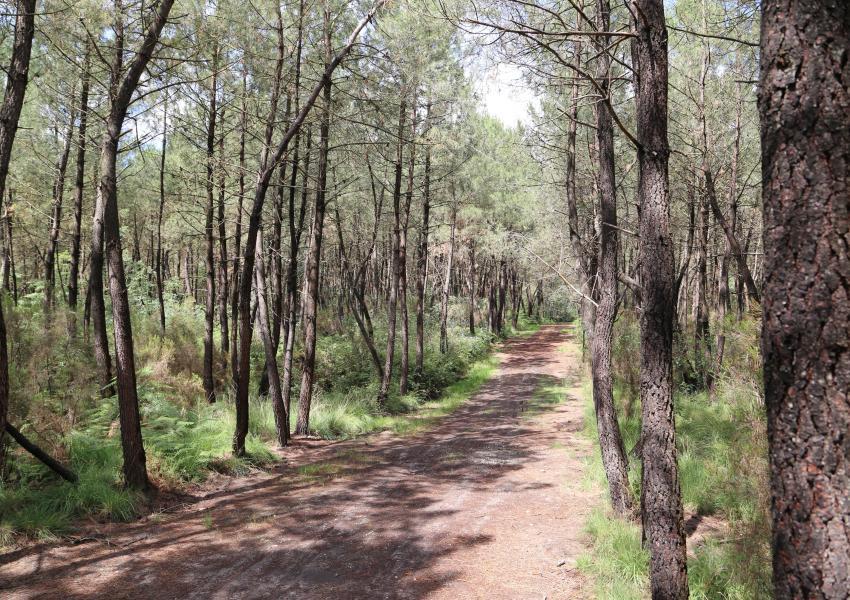 Parc de chasse en Charente-Maritime