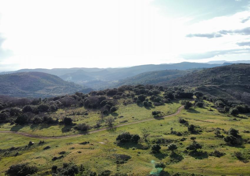 Propriété agricole et forestière aux portes de Clermont-L'Hérault