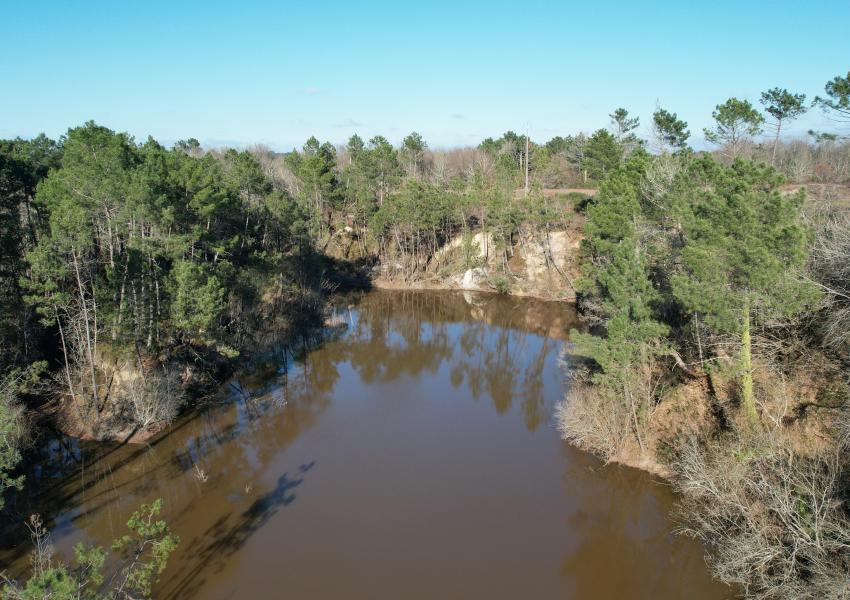 Forêt de production et sa zone humide en Gironde