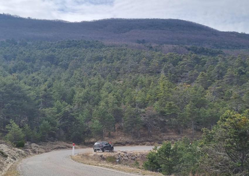 Forêt de production au cœur des Baronnies