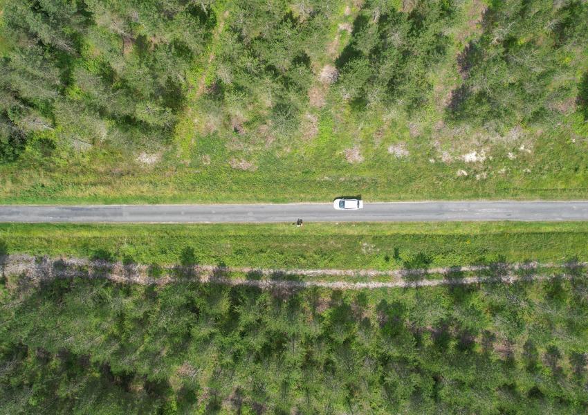 Forêt de production dans Le Lot-et-Garonne
