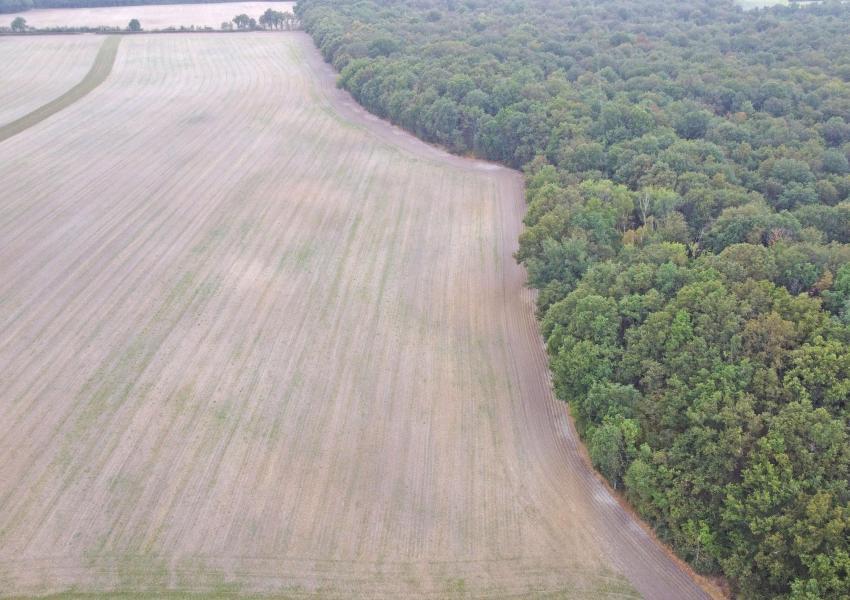 Exploitation céréalière & forestière