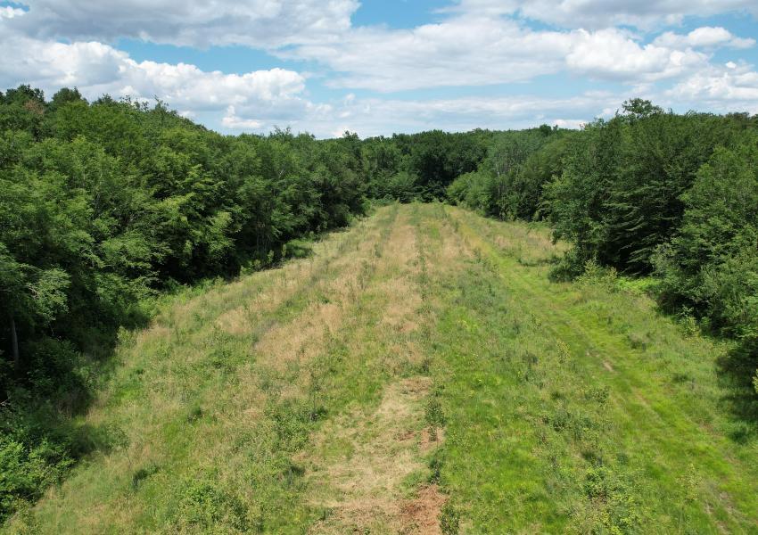 Propriété forestière dans le Lot-et-Garonne
