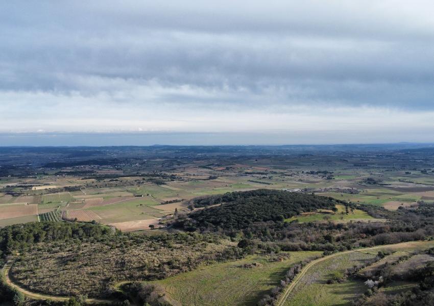 Propriété agricole et forestière aux portes de Clermont-L'Hérault