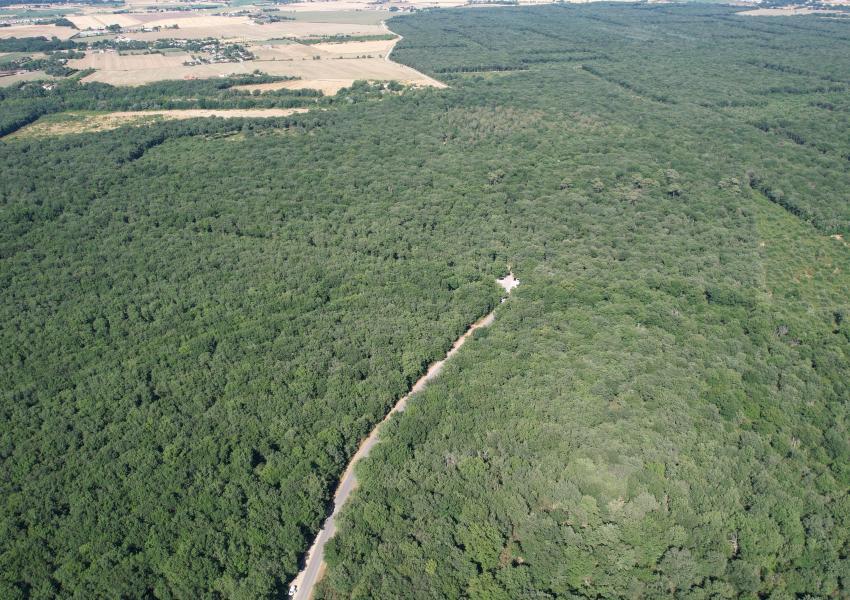 Propriété Forestière aux portes de Toulouse