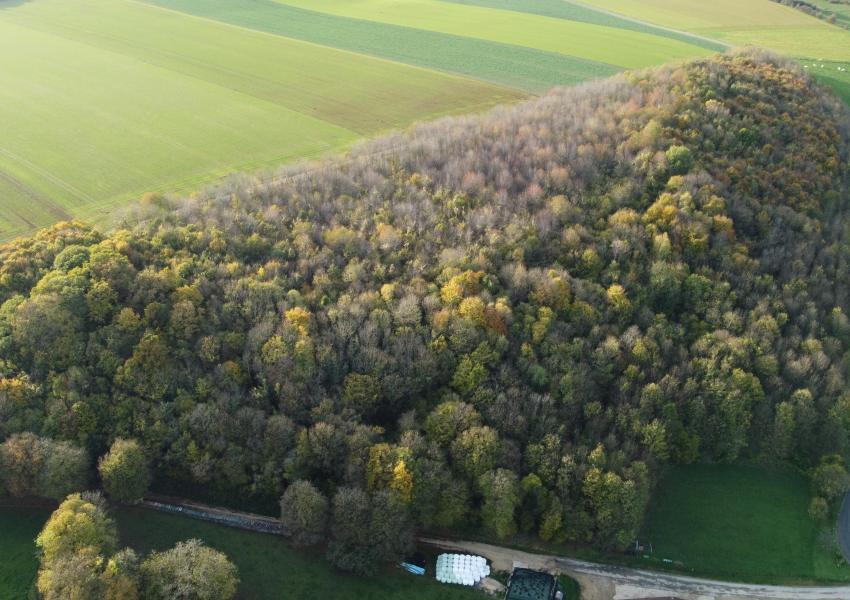 Plantation feuillues en Meuse