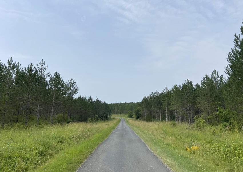 Forêt de production dans Le Lot-et-Garonne