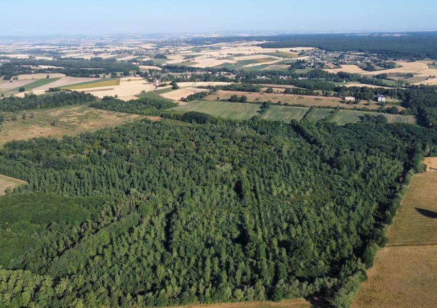 Domaine agricole et forestier proche de Clermont-Ferrand