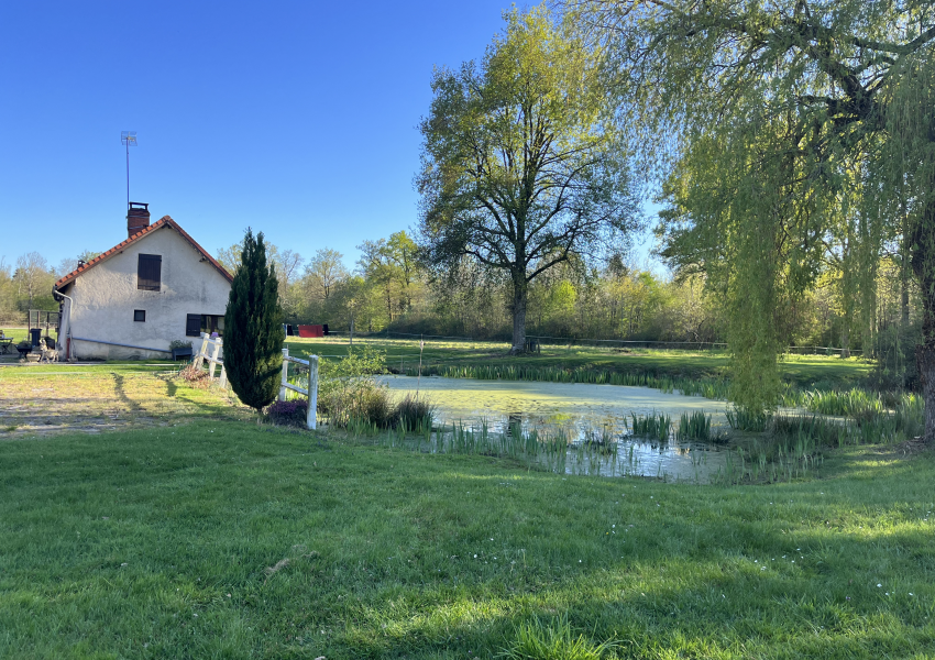 Domaine de chasse aux portes de la Sologne