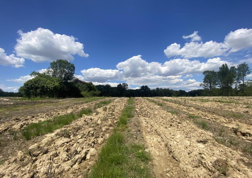 Propriété forestière dans le Lot-et-Garonne