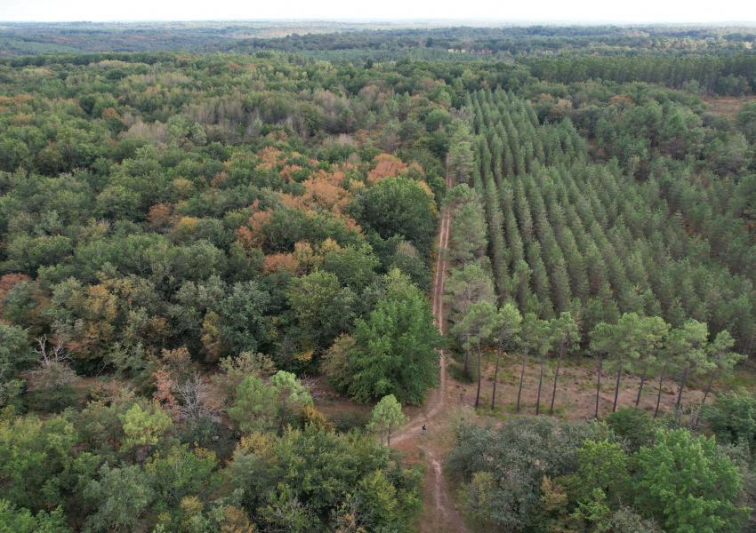 Propriété clôturée avec bâtis en Dordogne