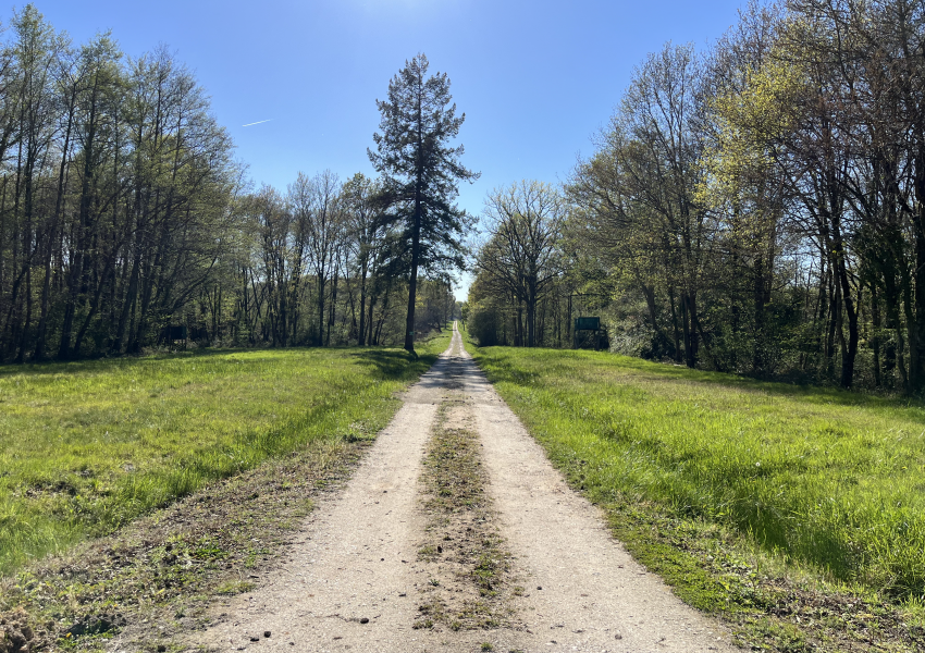 Domaine de chasse aux portes de la Sologne