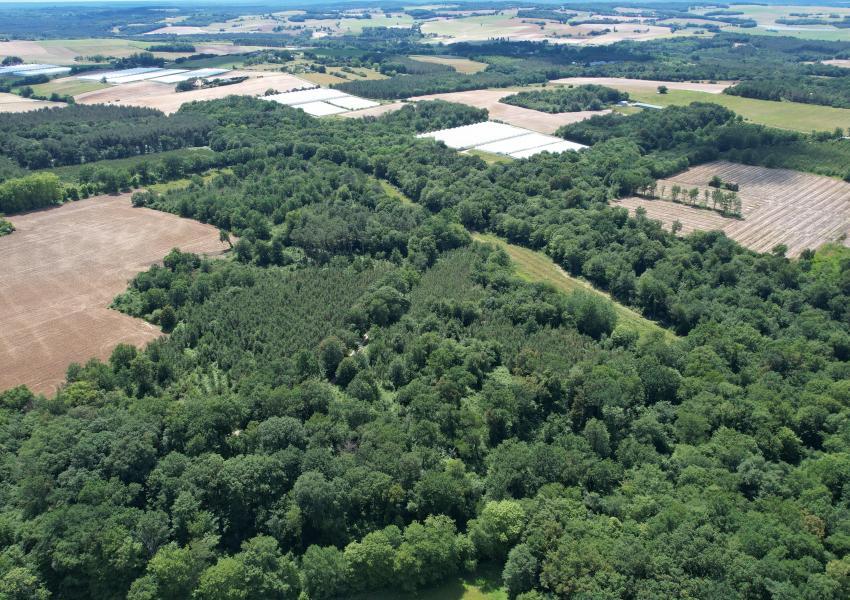 Propriété forestière dans le Lot-et-Garonne