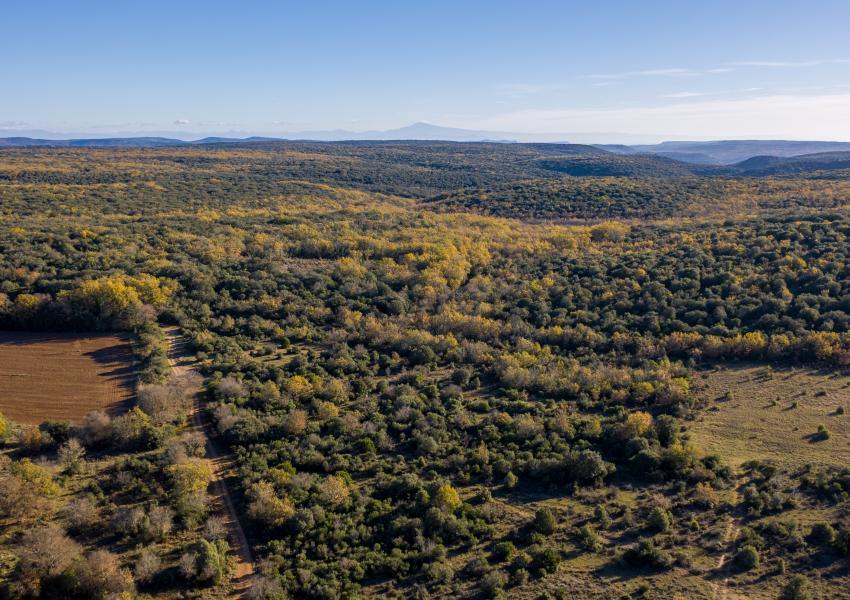 Forêt de loisirs au coeur du Gard