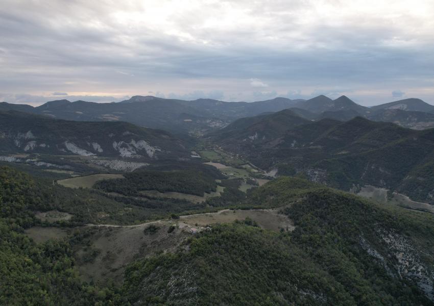 Buron à réhabiliter au coeur d'un massif forestier