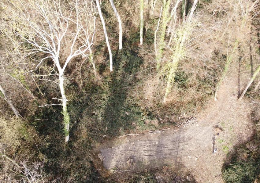 Parcelle forestière proche de Paris