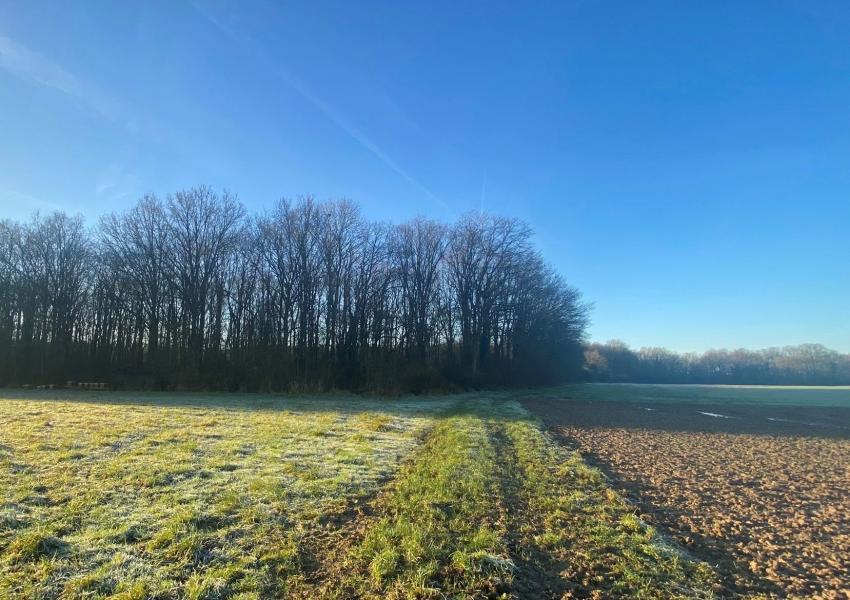 Propriété rurale au cœur de l'Essonne