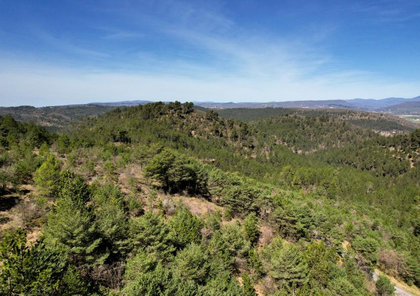 Domaine Forestier Provençal