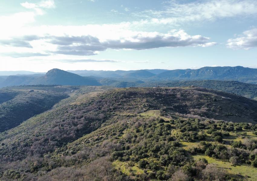 Propriété agricole et forestière aux portes de Clermont-L'Hérault