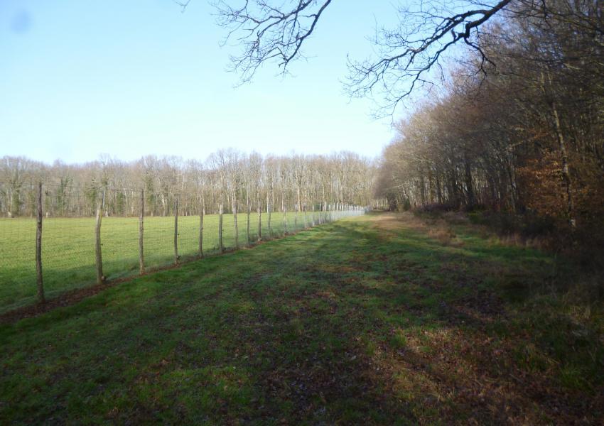 Propriété rurale avec bâtis en Charente