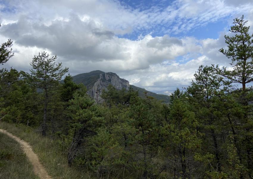 Forêt de loisirs au coeur du Parc Naturel Régional des Baronnies Provençales