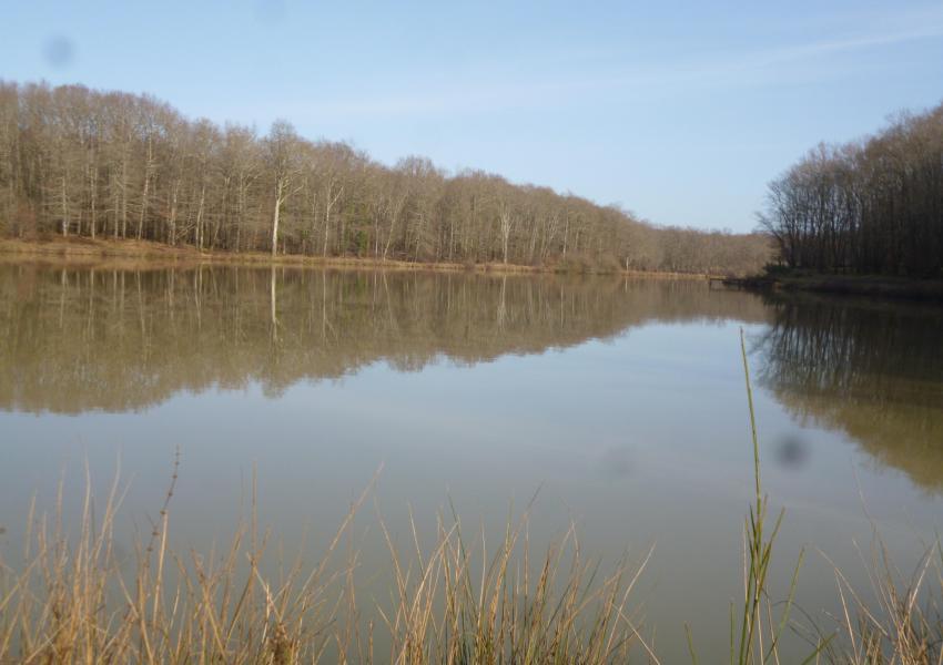Propriété rurale avec bâtis et étang en Charente