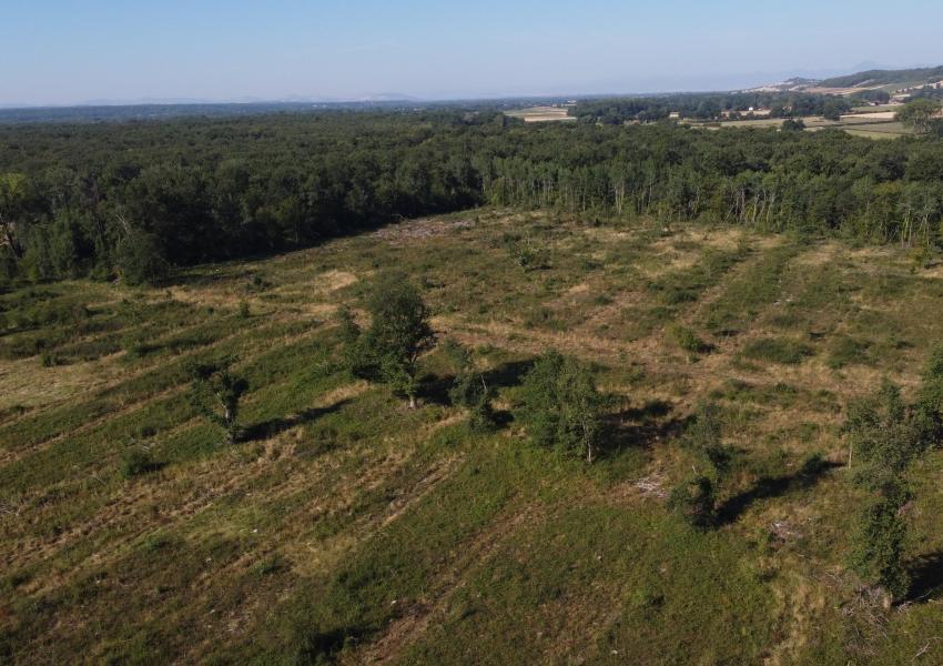 Domaine agricole et forestier proche de Clermont-Ferrand