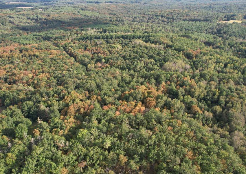 Propriété clôturée avec bâtis en Dordogne