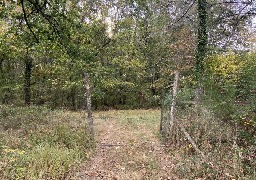 Propriété clôturée avec bâtis en Dordogne