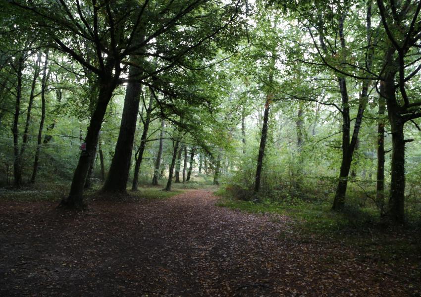 Grand étang et sa cabane d'agrément en Dordogne