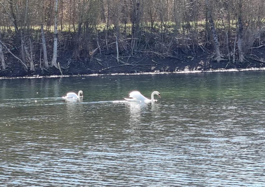 Ancienne gravière de 12 ha proche de Toulouse