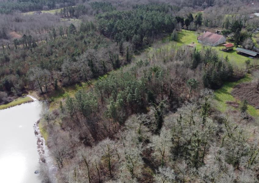 Domaine forestier avec bâtis en Dordogne