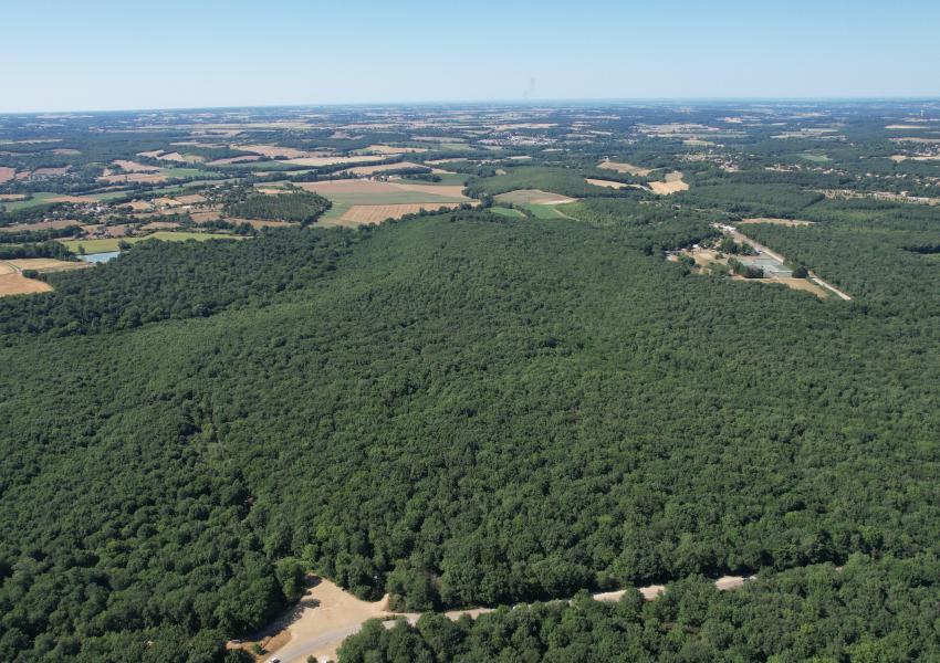 Propriété Forestière aux portes de Toulouse