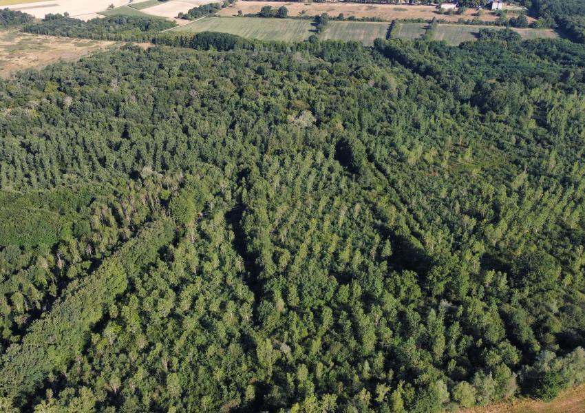 Domaine agricole et forestier proche de Clermont-Ferrand