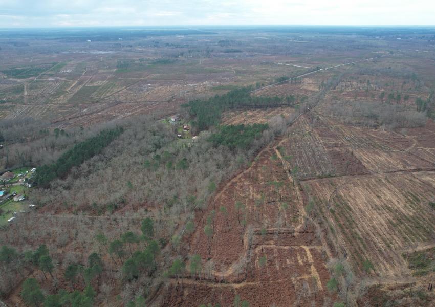 Propriété forestière en Gironde