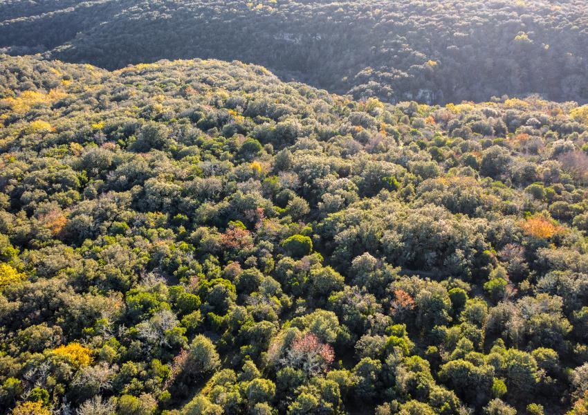 Forêt de loisirs au coeur du Gard