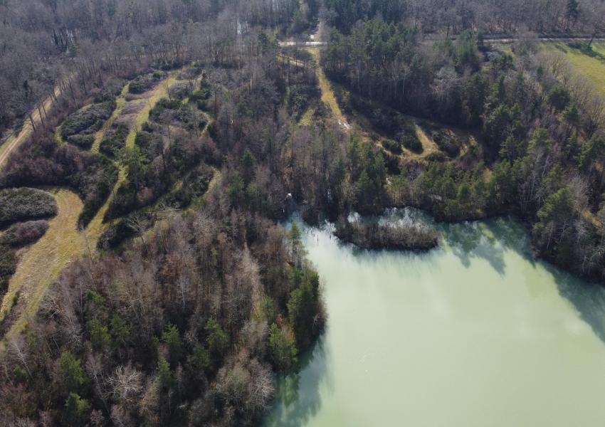Propriété forestière avec enclos cynégétiques