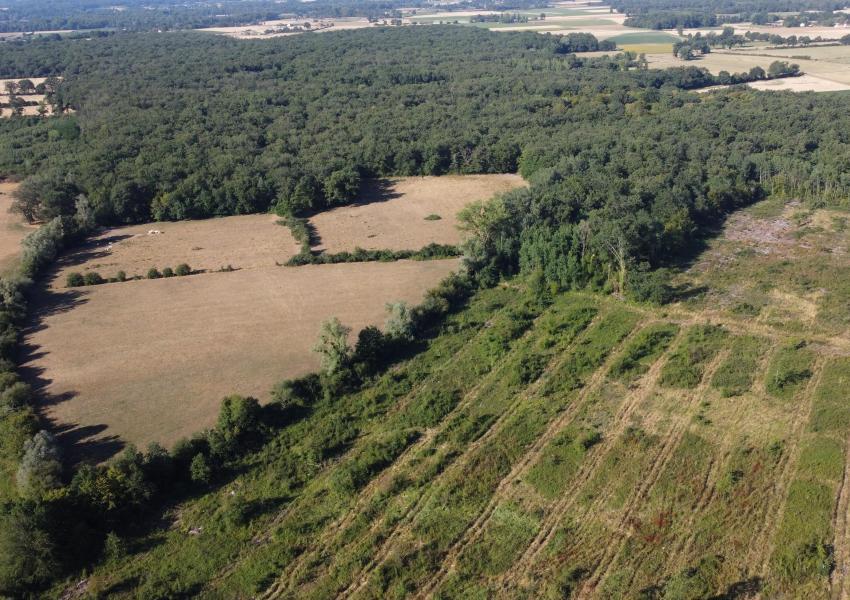 Domaine agricole et forestier proche de Clermont-Ferrand