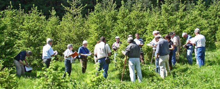 Le FOGEFOR : Apprendre à gérer sa forêt