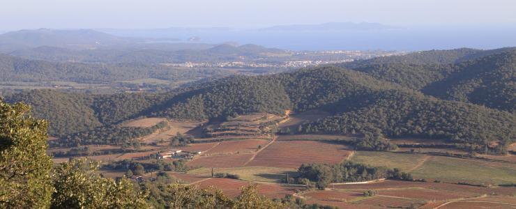 Massif forestier méditerranéen de 404 hectares