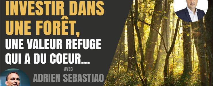 La forêt : une valeur refuge ?