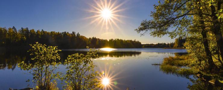 Réserve de Biosphère et Forêts